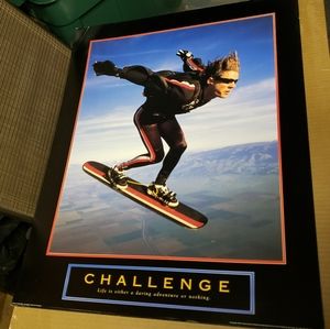 Large sky diving loose art print